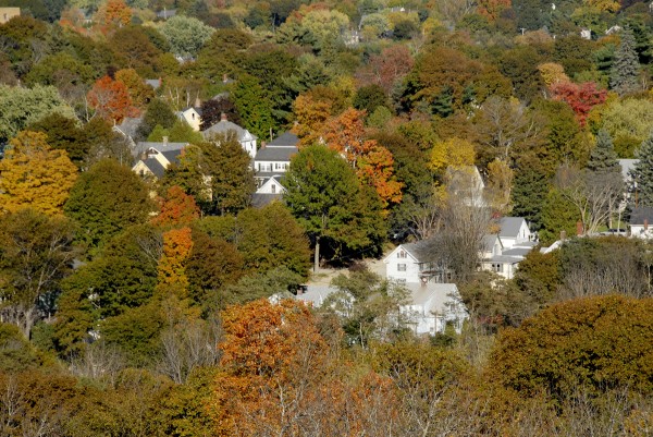 Splotches of color appear amidst the shade trees growing along the Little City streets in Bangor’s East Side. The scene was visible from the Thomas Hill Standpipe during its Oct. 9 open house. Splotches of color appear amidst the shade trees growing along the Little City streets in Bangor’s East Side. The scene was visible from the Thomas Hill Standpipe during its Oct. 9 open house.