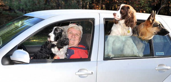Eugene sits on the lap of Kathy Campbell in the driveway of her Auburn home while her other two dogs, Murphy and Maus, right, look out the back window of her 2000 VW Golf, which has more than 226,400 miles on it. "The back seat has only been in the upright position twice since I bought the car. When I am driving, they only sit in the back, where they are comfortable and not distracting me when I drive." Eugene sits on the lap of Kathy Campbell in the driveway of her Auburn home while her other two dogs, Murphy and Maus, right, look out the back window of her 2000 VW Golf, which has more than 226,400 miles on it. "The back seat has only been in the upright position twice since I bought the car. When I am driving, they only sit in the back, where they are comfortable and not distracting me when I drive."