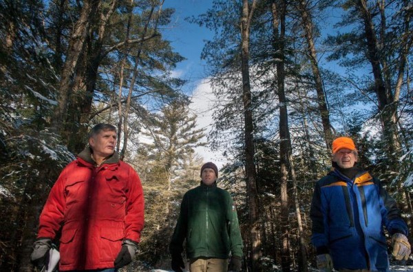 Robert Shafto, left, Scott Lindsay and Rene Noel survey the trees at Woods Road Community Forest in Falmouth for an upcoming forestry project to create wintering habitat for deer, as is required through a 1987 agreement with the Maine Department of Environmental Protection. Shafto is Falmouth's open space ombudsman, Lindsay is a wildlife biologist with the Maine Department of Inland Fisheries and Wildlife, and Noel is owner of Southern Maine Forestry Services. Robert Shafto, left, Scott Lindsay and Rene Noel survey the trees at Woods Road Community Forest in Falmouth for an upcoming forestry project to create wintering habitat for deer, as is required through a 1987 agreement with the Maine Department of Environmental Protection. Shafto is Falmouth's open space ombudsman, Lindsay is a wildlife biologist with the Maine Department of Inland Fisheries and Wildlife, and Noel is owner of Southern Maine Forestry Services.