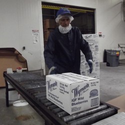 Timing of violation announcement angers president of Maine blueberry company