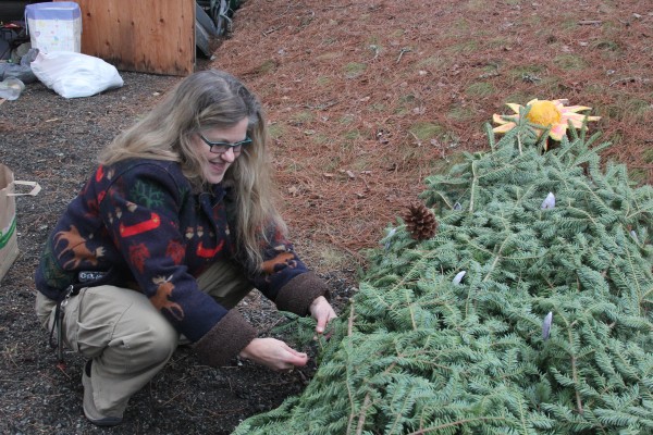 Gabrielle Graham decorates a tree for the Downeast Humanists and Freethinkers' float, which will feature in this year's Christmas parade in Ellsworth. The group hopes to draw attention to the Christmas tree's pre-Christian roots. Gabrielle Graham decorates a tree for the Downeast Humanists and Freethinkers' float, which will feature in this year's Christmas parade in Ellsworth. The group hopes to draw attention to the Christmas tree's pre-Christian roots.