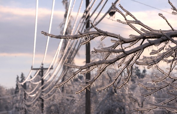 A thick layer of ice coated branches and power lines, continuing to cause power outages in the Ellsworth area Friday. A thick layer of ice coated branches and power lines, continuing to cause power outages in the Ellsworth area Friday.