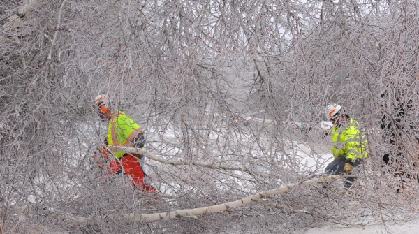 Maine DOT workers James Johnson Sr. (left) and Richard W. Doucet work on clearing trees from the roadway along Route 178 in Eddington Monday afternoon. The trees were so heavily crusted over with ice that they were leaning over the road and had to be cut down. They said that the weekend was very busy for the DOT crews in the area. Maine DOT workers James Johnson Sr. (left) and Richard W. Doucet work on clearing trees from the roadway along Route 178 in Eddington Monday afternoon. The trees were so heavily crusted over with ice that they were leaning over the road and had to be cut down. They said that the weekend was very busy for the DOT crews in the area.