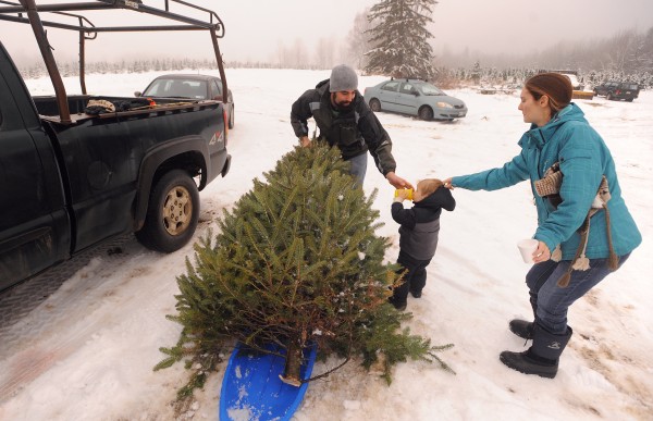 christmas tree growers hopeful about season as plastic christmas tree growers hopeful about season as plastic