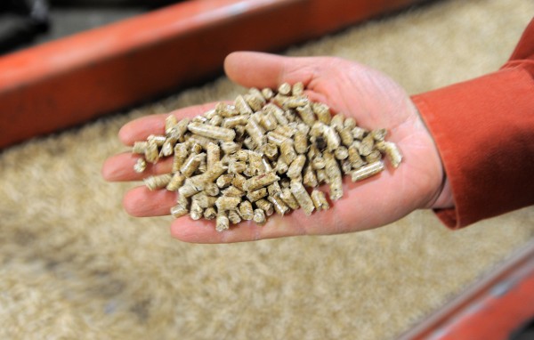 Wood pellets produced at Corinth Wood Pellets LLC. in Corinth are seen Wednesday. The company is running two shifts during this time of year and producing about 200 tons of pellets daily. Wood pellets produced at Corinth Wood Pellets LLC. in Corinth are seen Wednesday. The company is running two shifts during this time of year and producing about 200 tons of pellets daily.