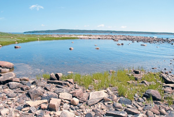 The incoming tide floods a pool along Petit Manan Point in western Washington County; offshore, Pigeon Hill Bay separates the mainland from distant Bois Bubert Island. Petit Manan Point lies in Steuben, a town that out-of-state visitors often pronounce as "Shtoy-ben.” True Mainers know that the correct pronunciation is “Stew-ben.”
The incoming tide floods a pool along Petit Manan Point in western Washington County; offshore, Pigeon Hill Bay separates the mainland from distant Bois Bubert Island. Petit Manan Point lies in Steuben, a town that out-of-state visitors often pronounce as "Shtoy-ben.” True Mainers know that the correct pronunciation is “Stew-ben.”