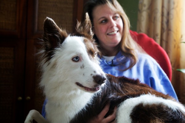 Stephanie Fox, who suffers from Lyme disease, holds her dog Roosevelt in her Portland home on Thursday. Roosevelt's was born with malformed front legs and uses a cart to get around outside. Stephanie Fox, who suffers from Lyme disease, holds her dog Roosevelt in her Portland home on Thursday. Roosevelt's was born with malformed front legs and uses a cart to get around outside.