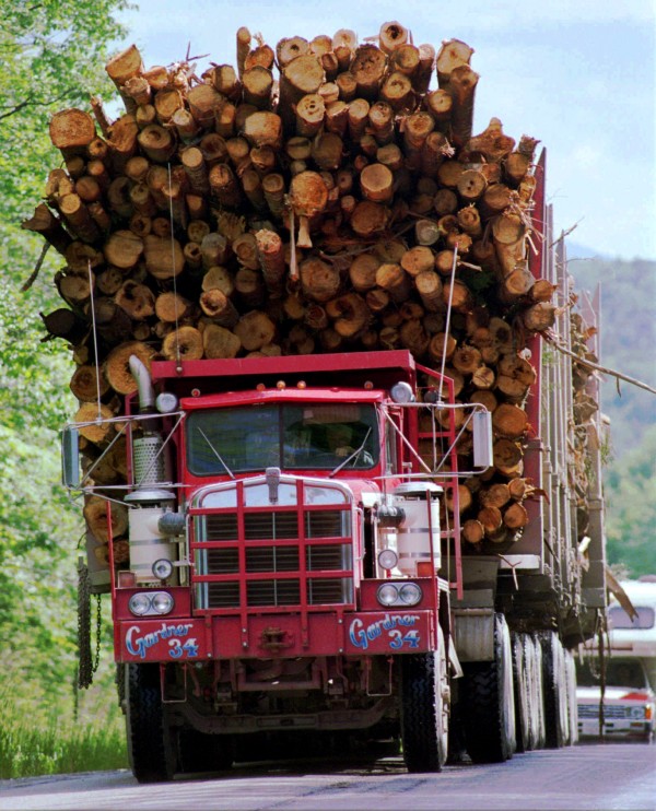 State Plan To Increase Timber Harvesting On Public Lands Hits Resistance