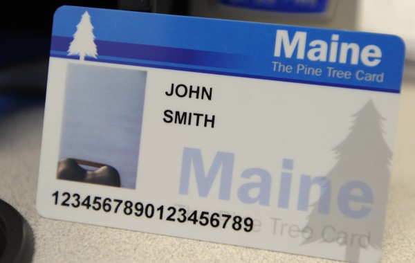 This is a sample photo EBT card. This is a sample photo EBT card.