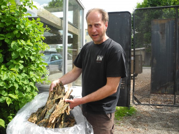 David Carlson of Marshall Wharf Brewing Co. shows some of the dried sugar kelp that he added Wednesday to the first batch of seaweed beer that will be called Maine Sea Belt. The brand-new beer will use seaweed grown at Maine Fresh Sea Farms, a six-month-old aquaculture enterprise in the Damariscotta River in South Bristol. "I know this beer is going to be good," he said. David Carlson of Marshall Wharf Brewing Co. shows some of the dried sugar kelp that he added Wednesday to the first batch of seaweed beer that will be called Maine Sea Belt. The brand-new beer will use seaweed grown at Maine Fresh Sea Farms, a six-month-old aquaculture enterprise in the Damariscotta River in South Bristol. "I know this beer is going to be good," he said.