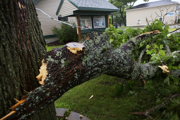 A tree branch caused utility lines to fall outside a building near North Main Street in Old Town on Saturday. The overnight stormed caused many down trees resulting in some residents to lose power. A tree branch caused utility lines to fall outside a building near North Main Street in Old Town on Saturday. The overnight stormed caused many down trees resulting in some residents to lose power.