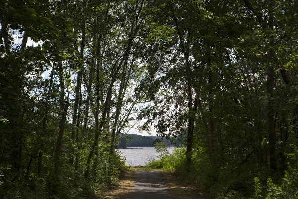 The new trail at Turtle Head Park is seen July 9 in Hampden near Hamlin's Marina and McLaughlin's at the Marina. The new trail at Turtle Head Park is seen July 9 in Hampden near Hamlin's Marina and McLaughlin's at the Marina.