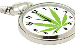 Maine voters narrowly endorse legal marijuana, but opponents weigh recount