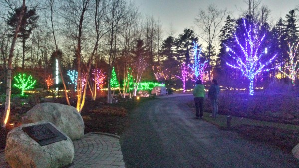 Big Color Explosion Light Show Brightens Up Boothbay Gardens