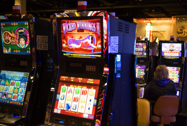 Maine slot machines gambling hawaiian shirts