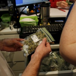 Maine voters narrowly endorse legal marijuana, but opponents weigh recount