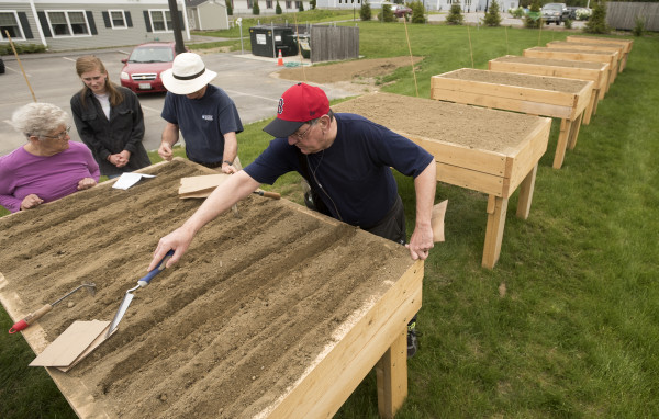 Raised Garden Beds For Seniors - Garden Ftempo