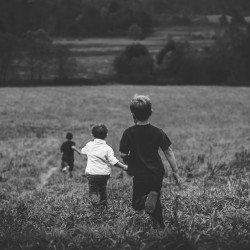 Even as the economy has begun to recover, statewide poverty rates haven’t improved.
