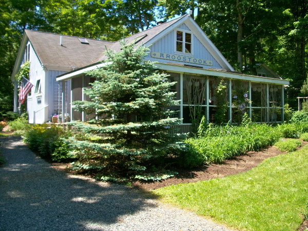 Shady Bayside Cottage Garden Third In Belfast Open Garden Days