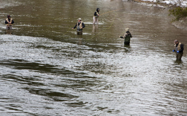 Fly fishermen try their hands at catching landlocked salmon at Grand Lake Stream during opening day of open water fishing season in Grand Lake Stream Saturday. Fly fishermen try their hands at catching landlocked salmon at Grand Lake Stream during opening day of open water fishing season in Grand Lake Stream Saturday.
