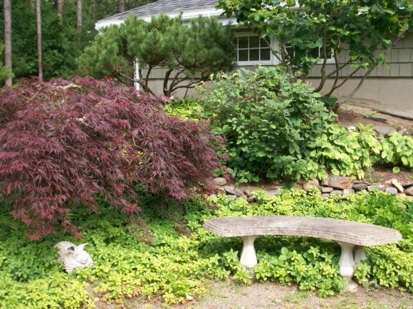 Garden By The Bay August 2017 belfast open garden days finale features a transformed garden Garden By The Bay August 2017 belfast open garden days finale features a transformed garden