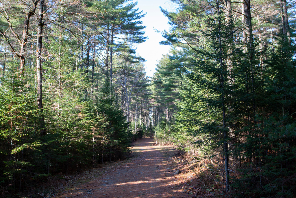 8 places to hike in Maine where there's no hunting