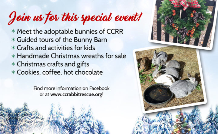 christmas open house flyer