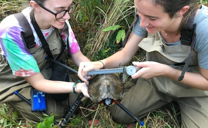 wildlife biologist college