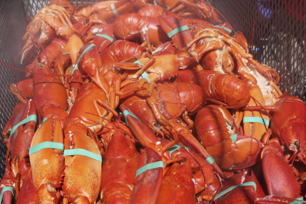 Boiling lobsters alive ruled an act of cruelty in Switzerland Boiling lobsters alive ruled an act of cruelty in Switzerland