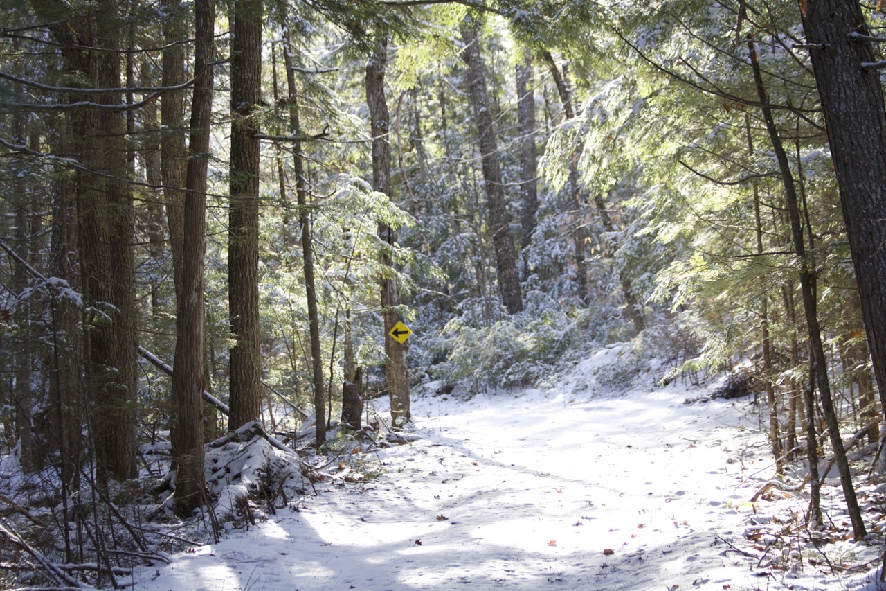 Snowshoe trails in Maine great for beginners