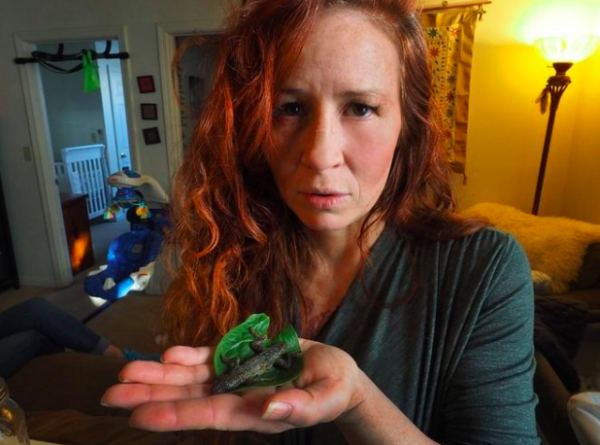 Maine woman finds 3-inch lizard in lettuce Maine woman finds 3-inch lizard in lettuce