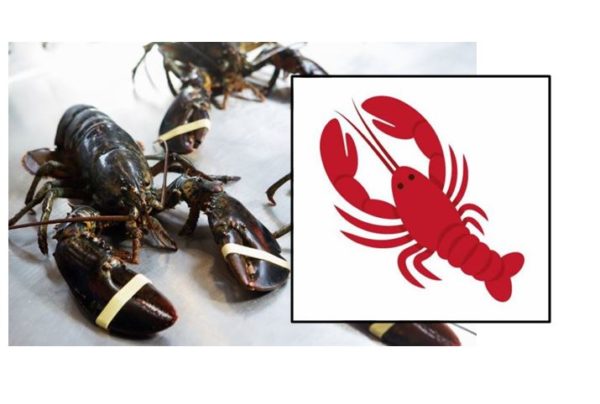 All of Maine Rejoices After Lobster Emoji Is Made Official
