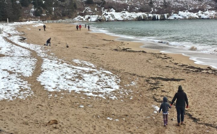 National Park Support drops Entry fees to $35 after outcry
