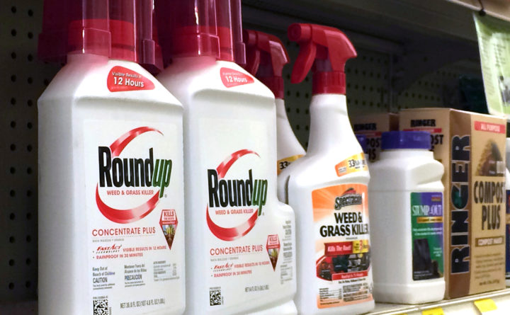 Monsanto (MON) Given a $119.00 Price Target at Sanford C. Bernstein Monsanto (MON) Given a $119.00 Price Target at Sanford C. Bernstein