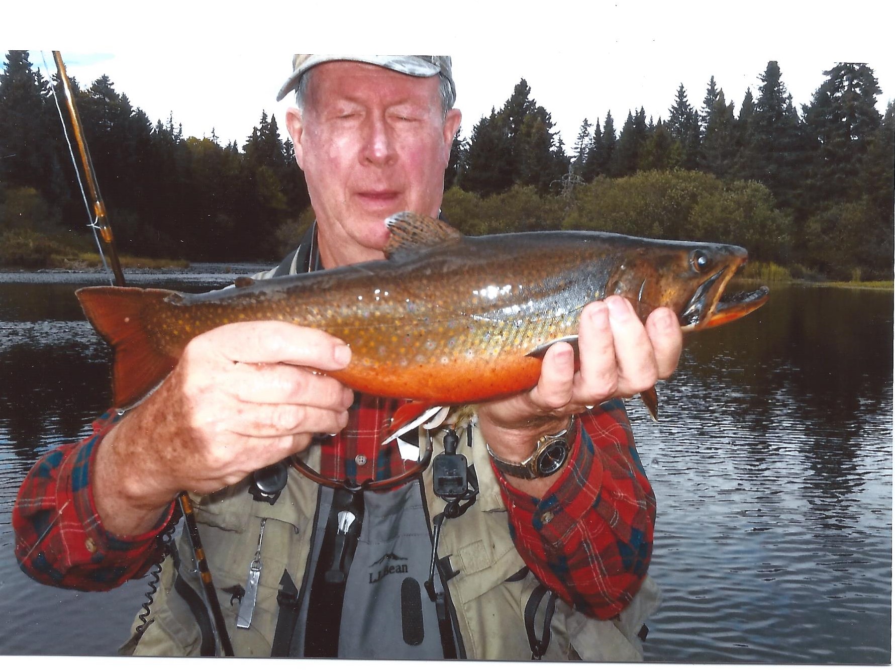 Spring is here, it’s time to fiddlehead — Outdoors — Bangor Daily News