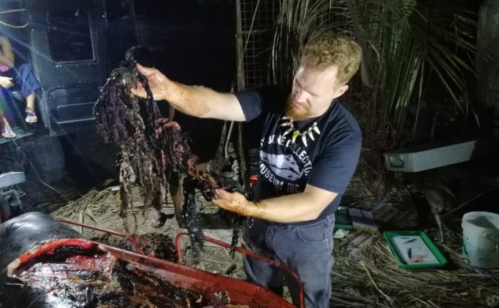 https://bdn-data.s3.amazonaws.com/uploads/2019/03/whale-guts-720x445.jpeg https://bdn-data.s3.amazonaws.com/uploads/2019/03/whale-guts-720x445.jpeg