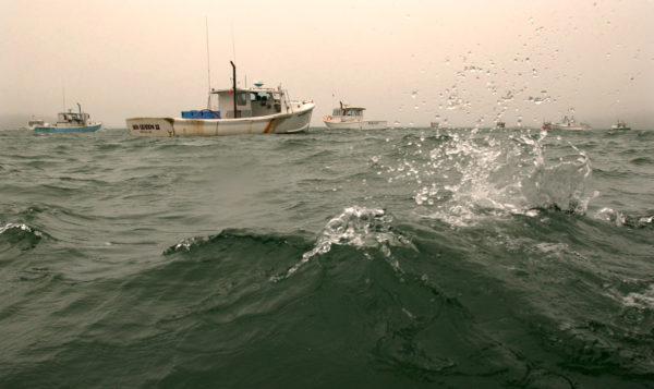 A new study shows where Stonington could be under water in the next 81 years - Bangor Daily News