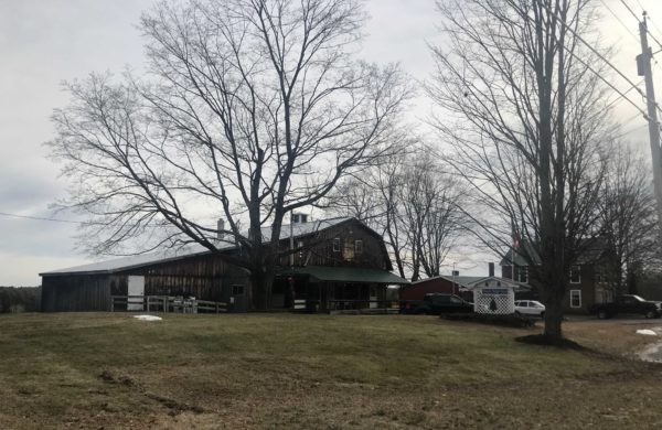 Police Investigating Whether Borough Homicide Is Connected To Police Investigating Whether