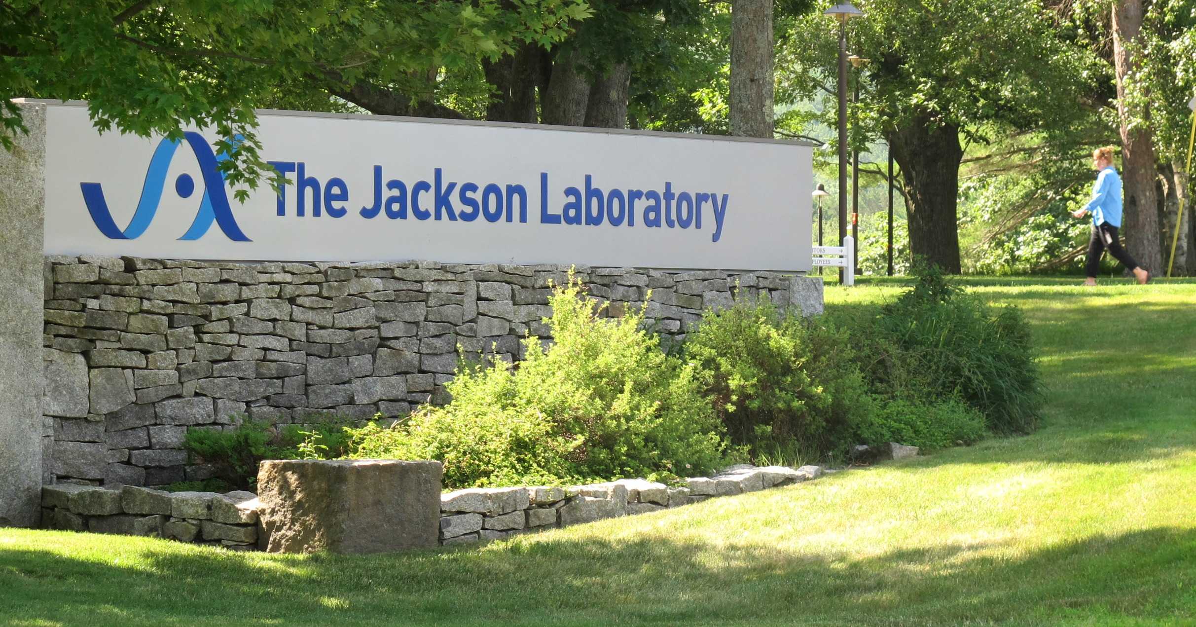 Jackson Lab to develop its own employee apartments on housingstarved MDI