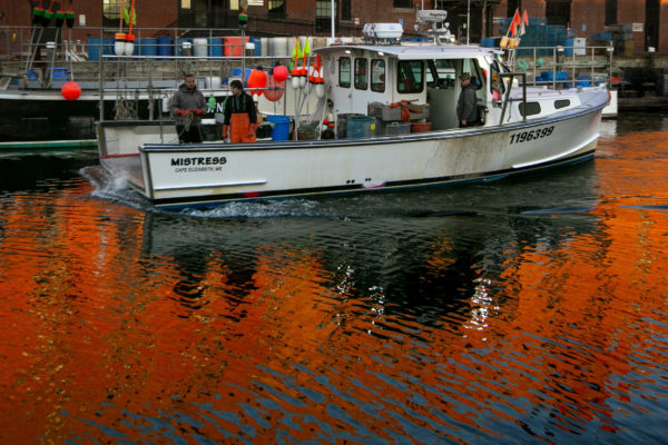 Lobstermen don't need all the traps they use, research claims - Bangor Daily News