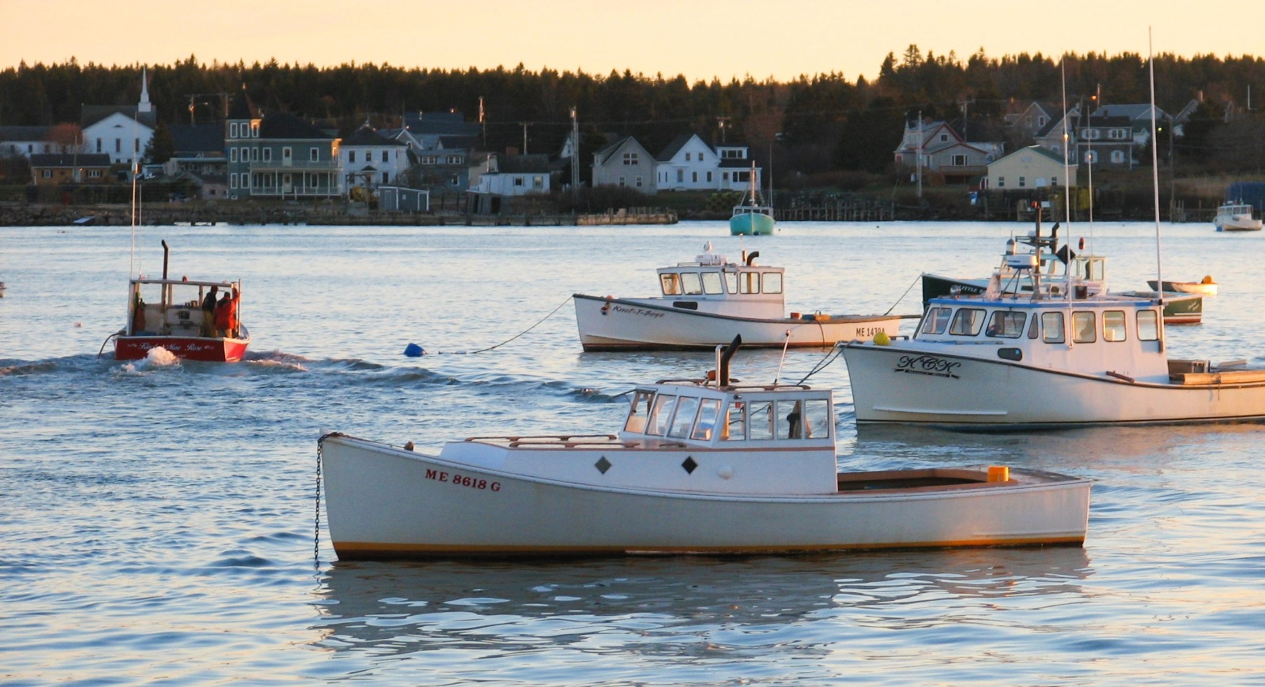 Dutch seafood firm to seek state permit for 110M fish farm proposed in