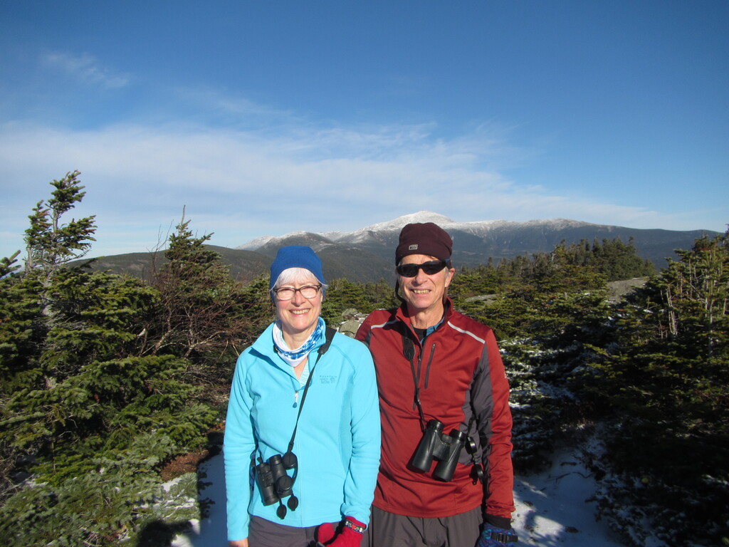 Jackson Mountain in the Presidential Range wasn’t named after a ...