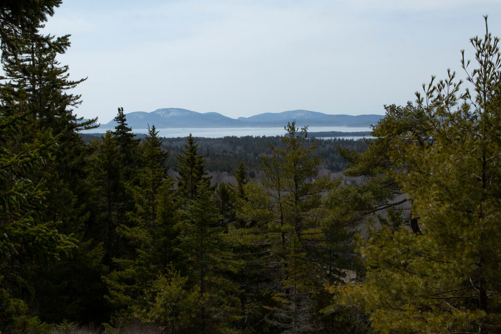 This short hike near Ellsworth offers rewarding views - Vimarsana News