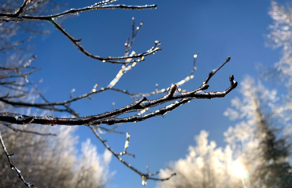 How to survive a winter in Maine Bangor Daily News