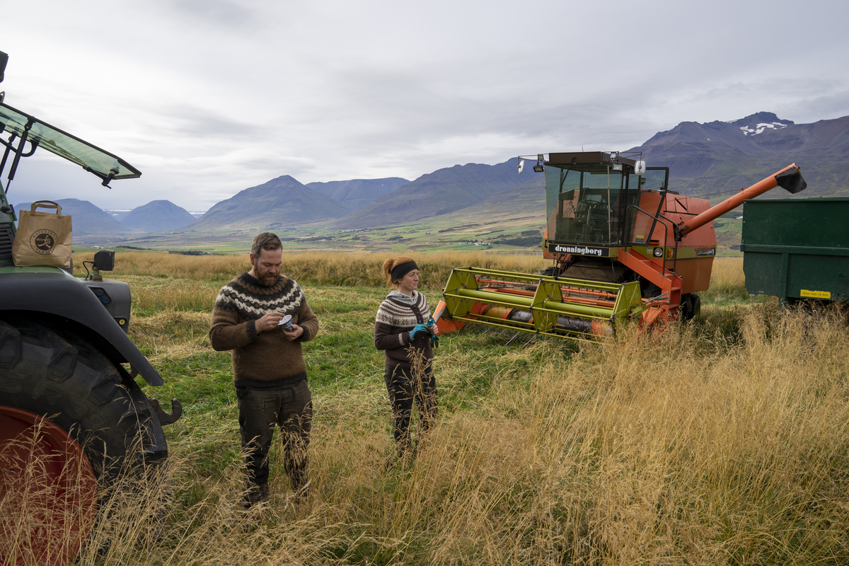 Chellie Pingree joins push to strengthen ties with Iceland