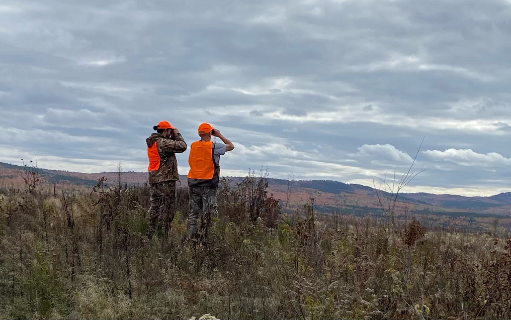 What you can, and can't, do with your Maine moose permit