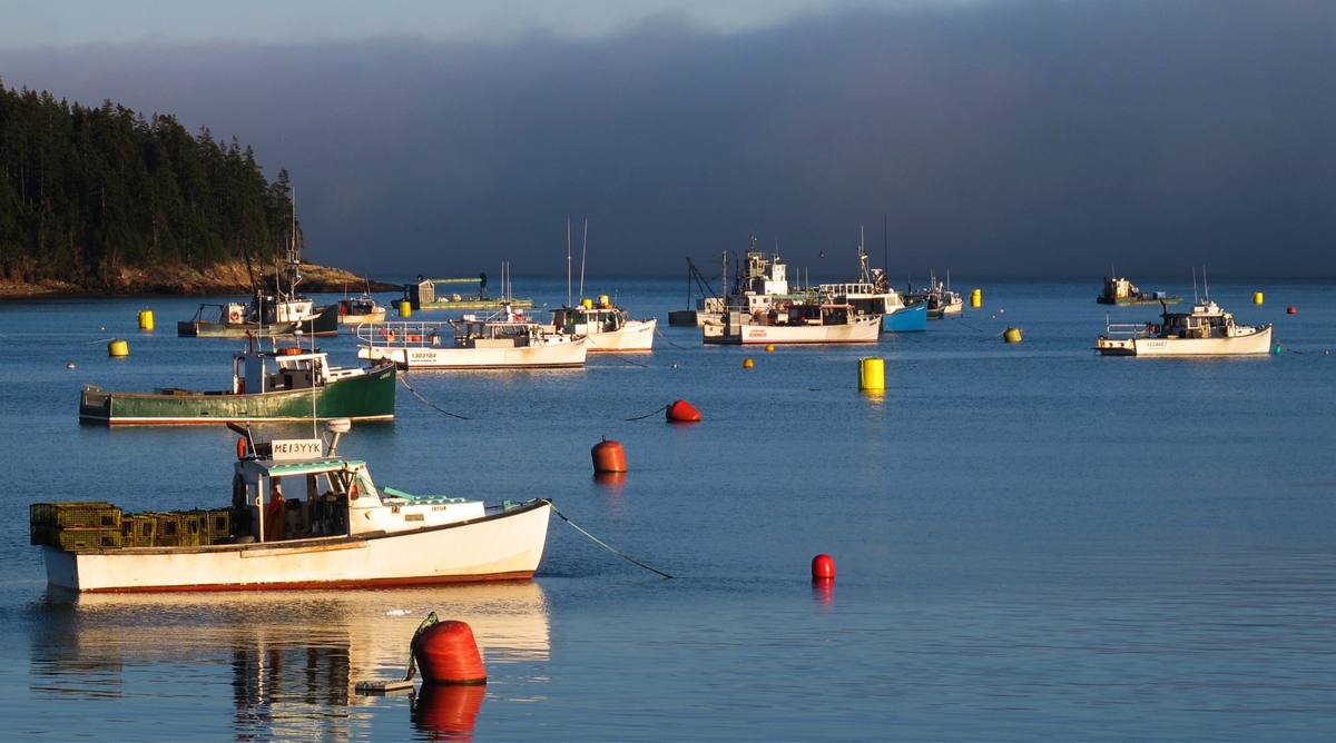 Why fewer people these days have Maine accents