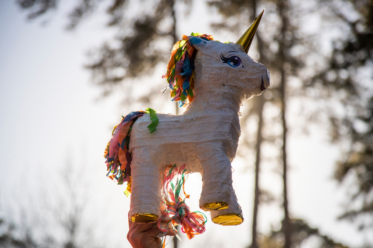 Animal Control grants girl's request to keep unicorn