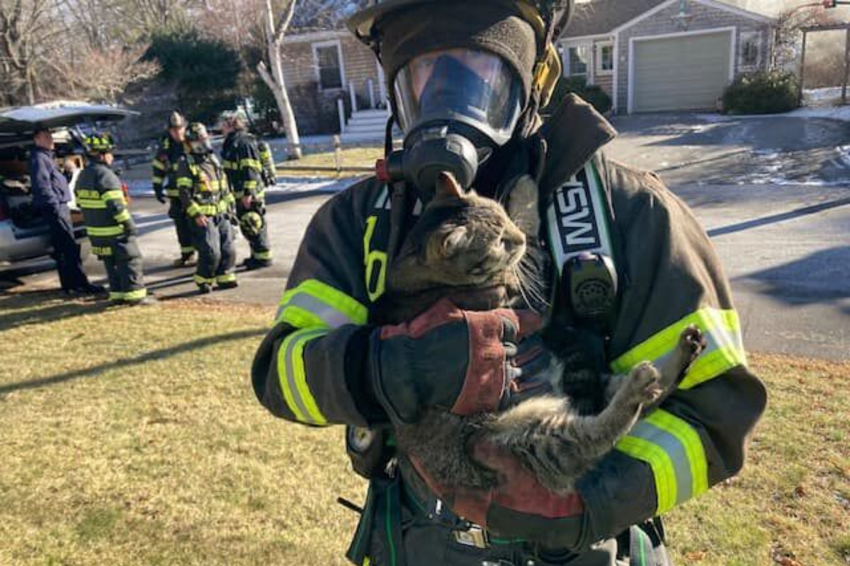 Cat, 2 dogs rescued from house fire in Cumberland