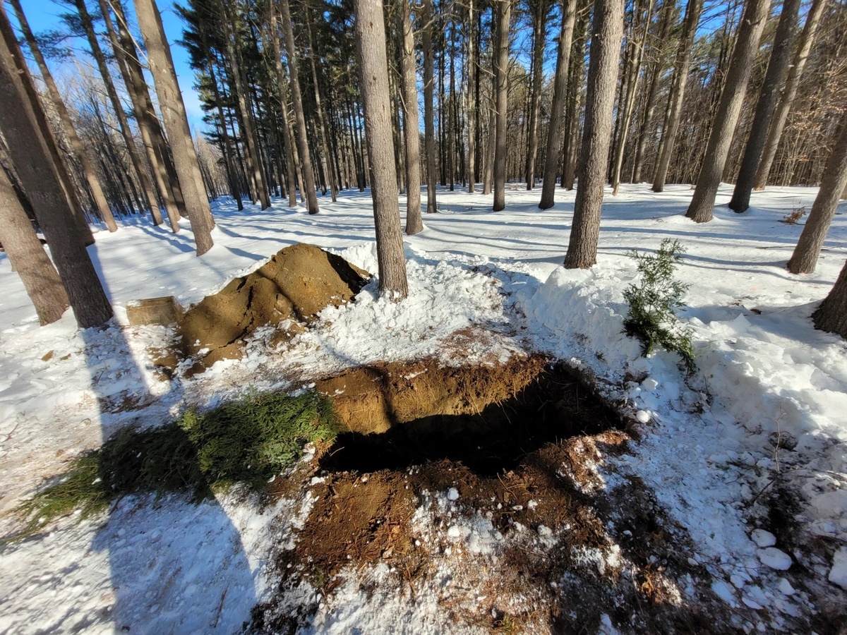Maine’s 1st conservation cemetery offers climate friendly burials